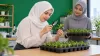 Peluang Kerja Setelah Lulus S1 Agroteknologi: Perlindungan Tanaman